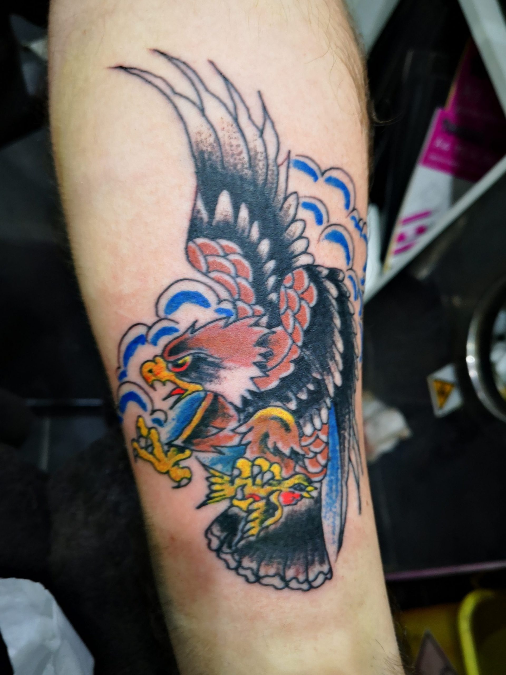 Brown and black eagle tattoo
